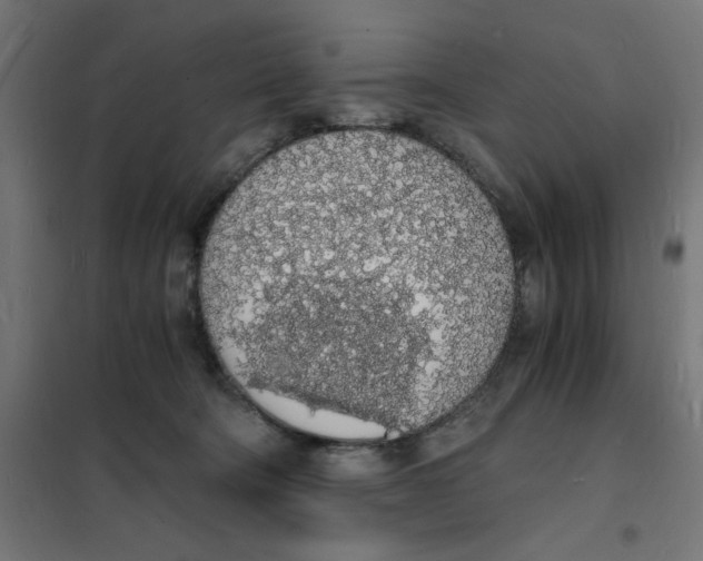 X0000101670322200808071051