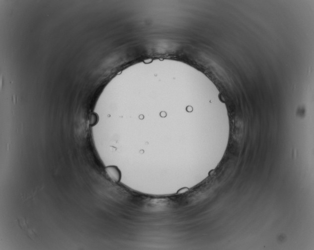 X0000101670324200808071051