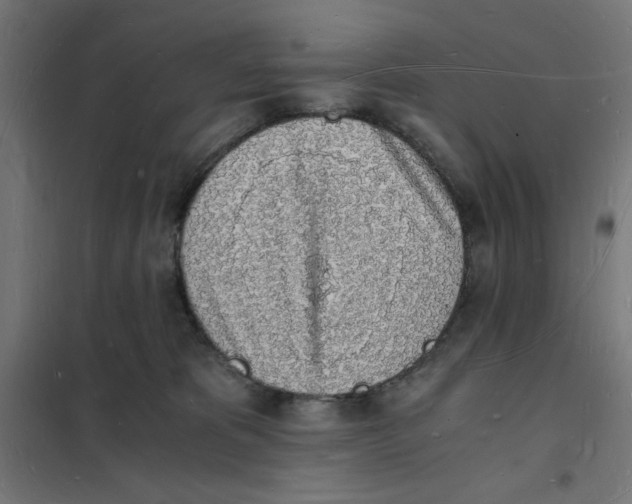 X0000101670325200808071051