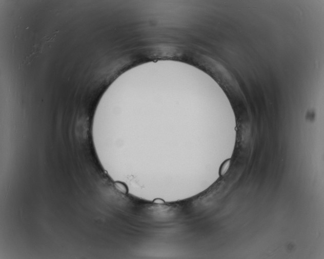 X0000101670326200808071051