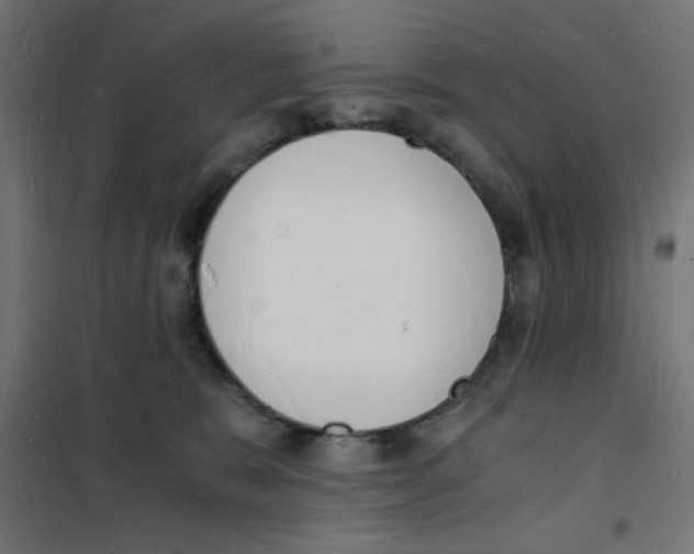 X0000101670327200808071051