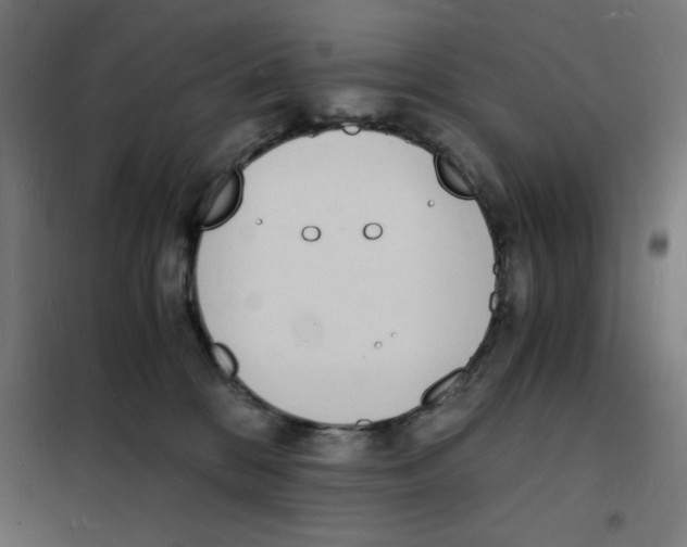 X0000101670328200808071051