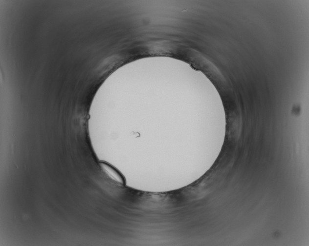 X0000101670329200808071051