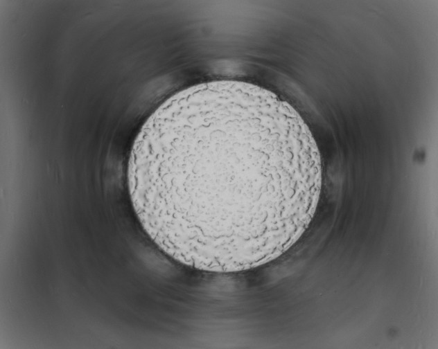 X0000101670330200808071051