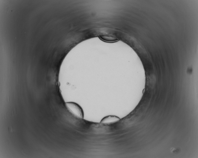 X0000101670331200808071051