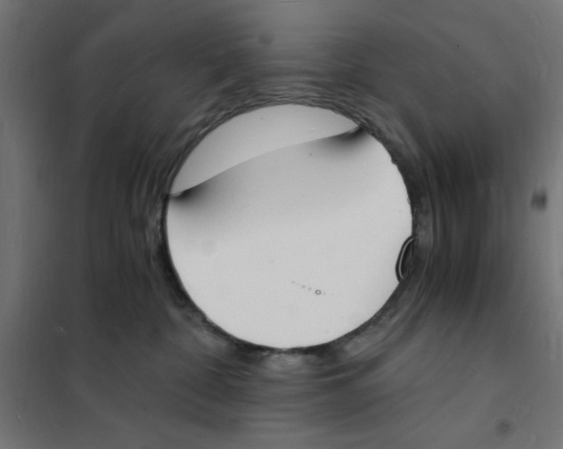 X0000101670332200808071051