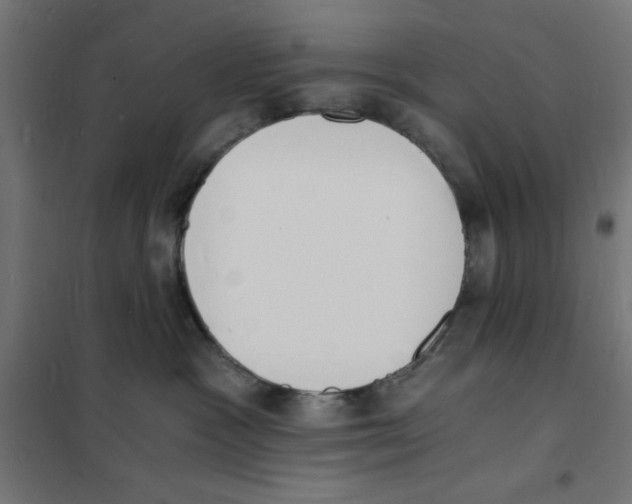 X0000101670333200808071051