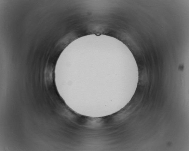 X0000101670334200808071050