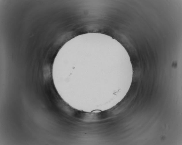 X0000101670335200808071050