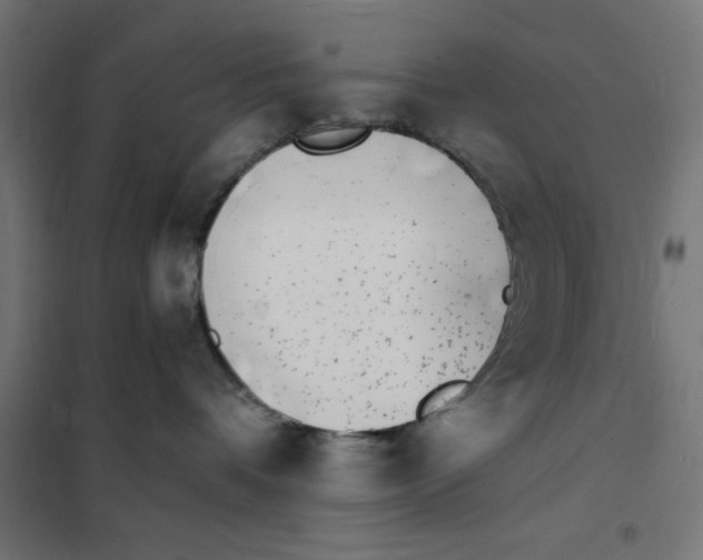 X0000101670336200808071050