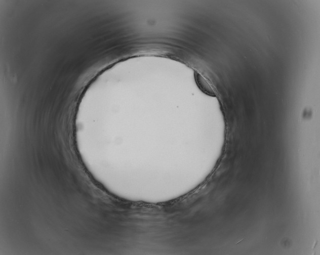 X0000101670337200808071050