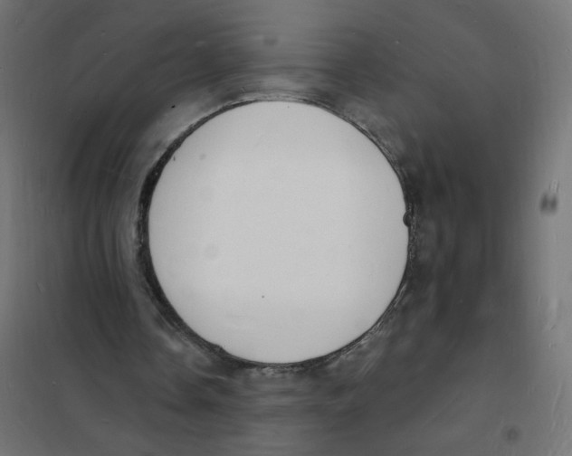 X0000101670338200808071050