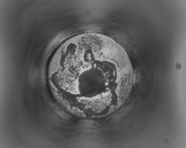 X0000101670339200808071050