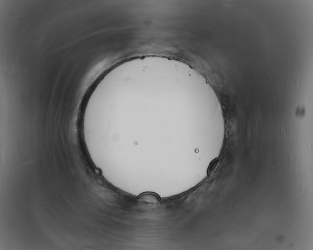 X0000101670340200808071050