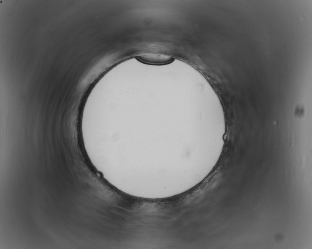 X0000101670341200808071050