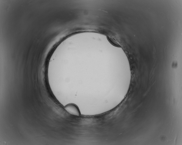 X0000101670342200808071050