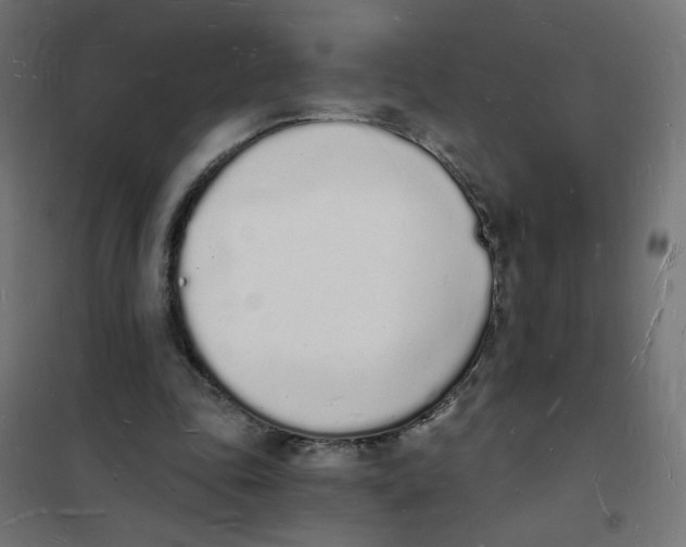 X0000101670343200808071050