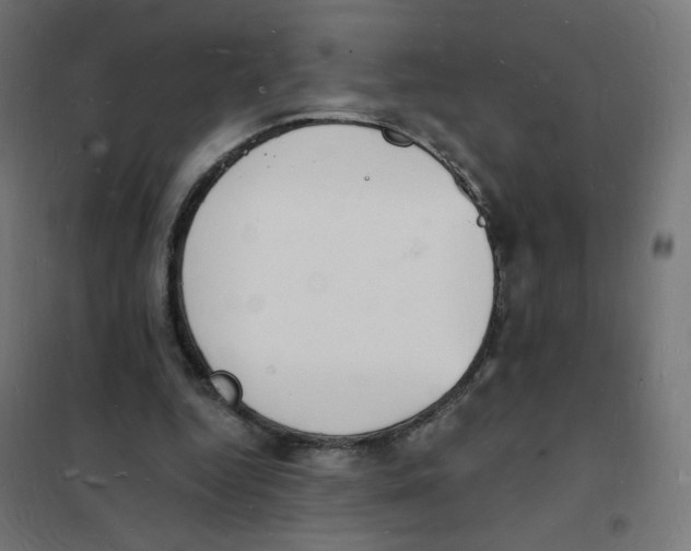 X0000101670344200808071050