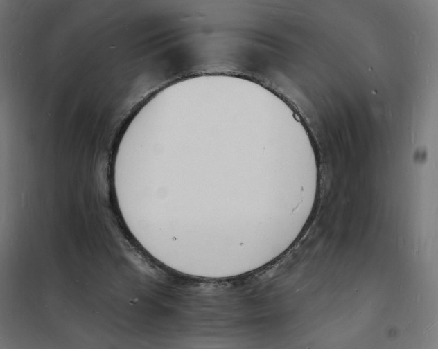 X0000101670345200808071050