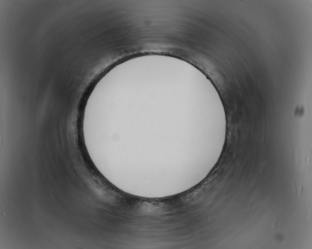X0000101670346200808071050