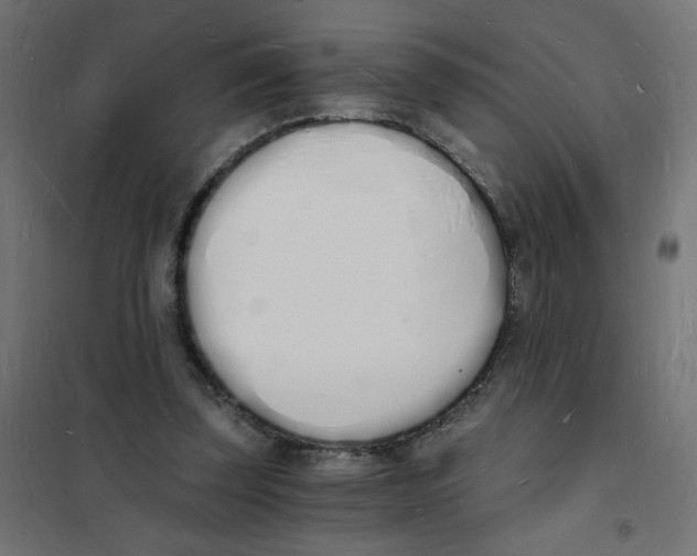 X0000101670347200808071050