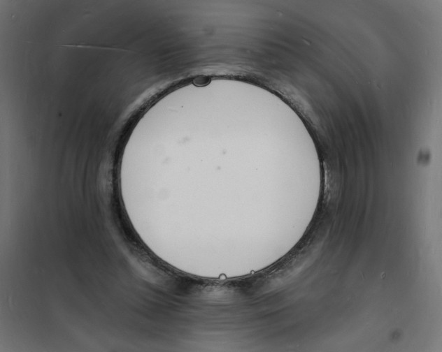 X0000101670348200808071050