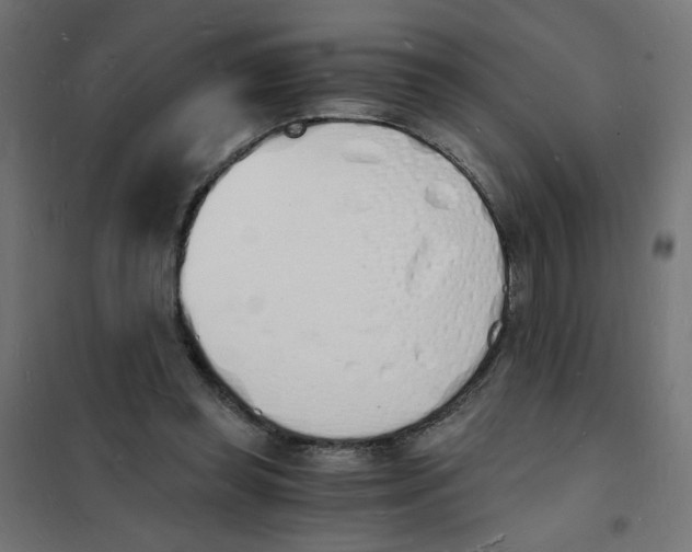 X0000101670349200808071050