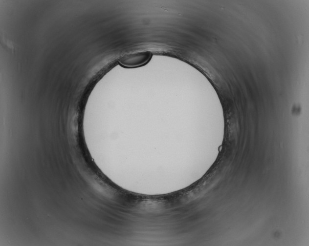 X0000101670350200808071050