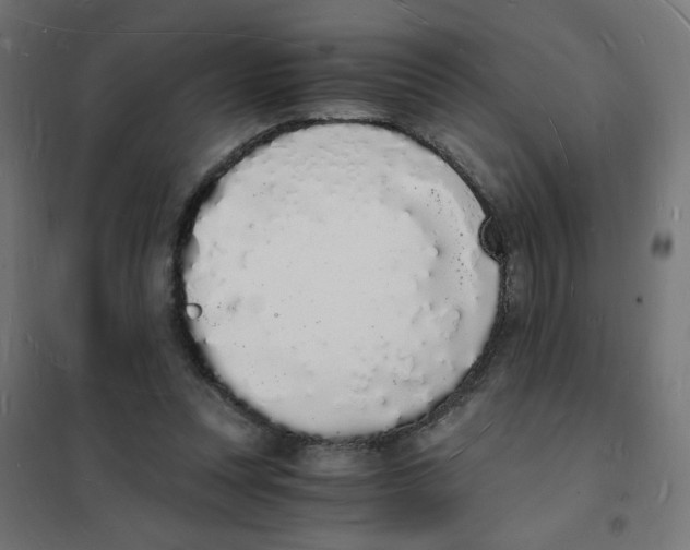 X0000101670351200808071050