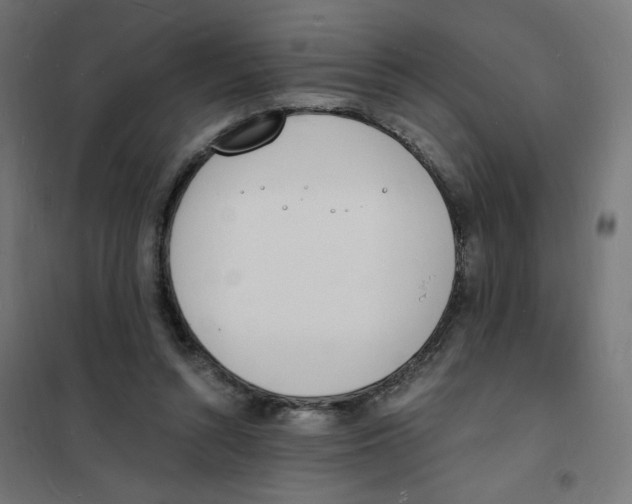 X0000101670352200808071050