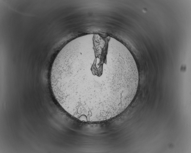 X0000101670353200808071050