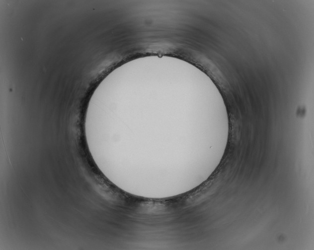 X0000101670354200808071050