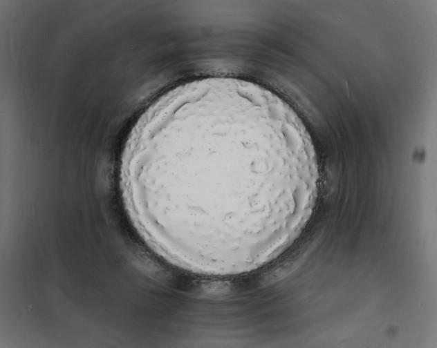 X0000101670355200808071050
