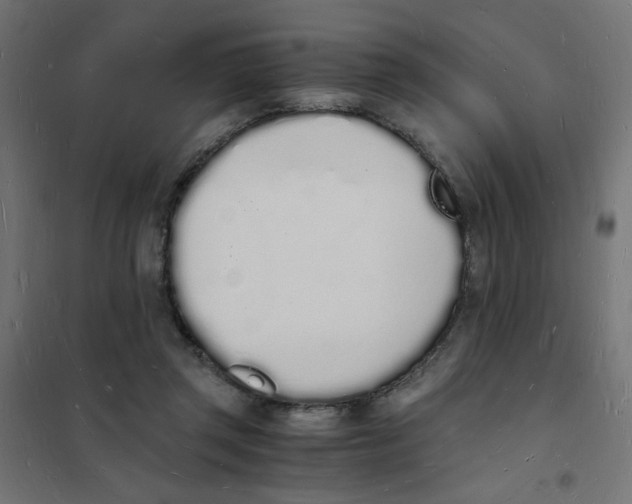 X0000101670357200808071050