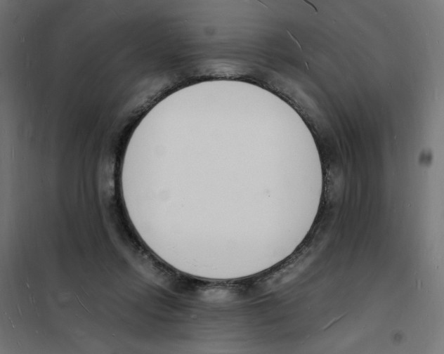 X0000101670358200808071050