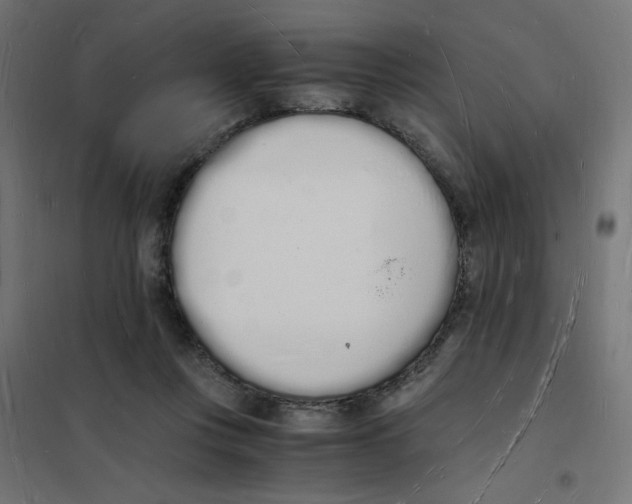 X0000101670359200808071050