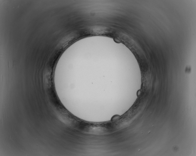 X0000101670360200808071050