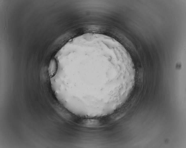 X0000101670361200808071050