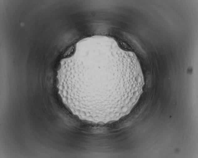 X0000101670363200808071050
