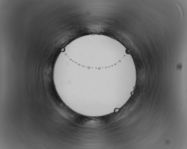 X0000101670364200808071050
