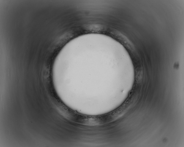 X0000101670365200808071050