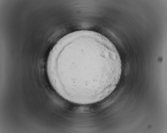 X0000101670366200808071050