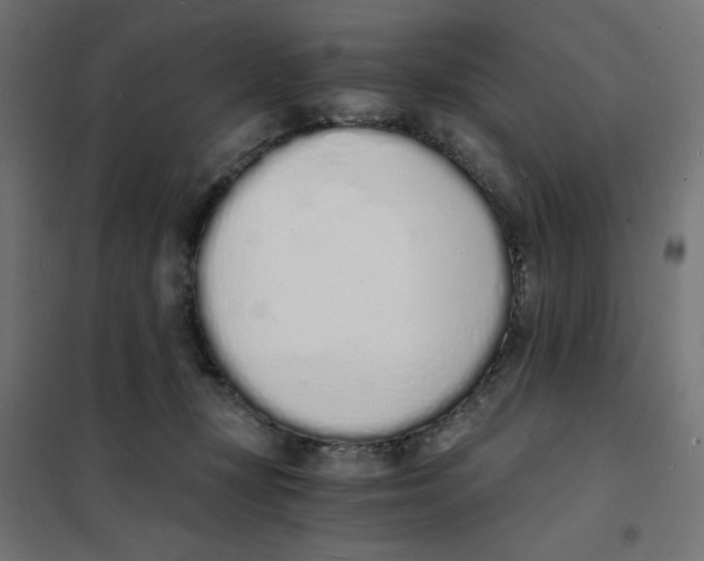 X0000101670367200808071050