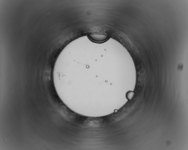 X0000101670368200808071050