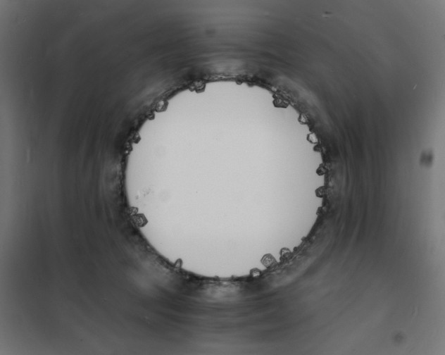 X0000101670369200808071050