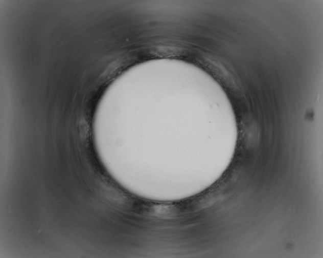 X0000101670371200808071050