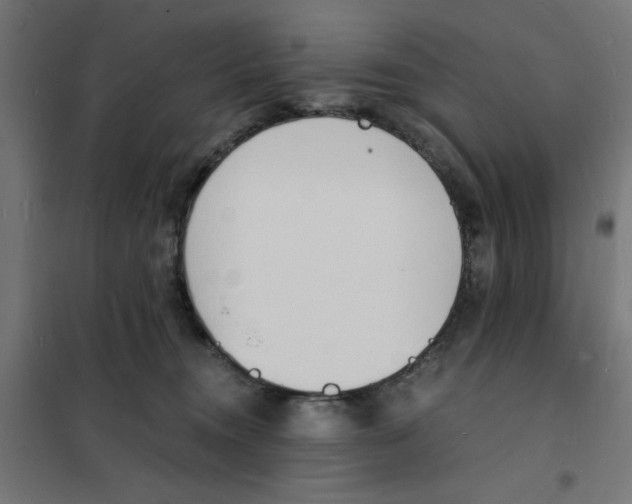 X0000101670372200808071050