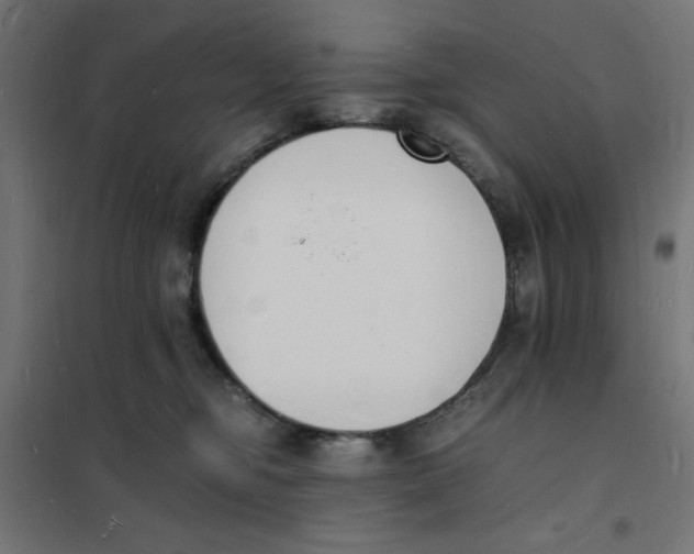 X0000101670374200808071050