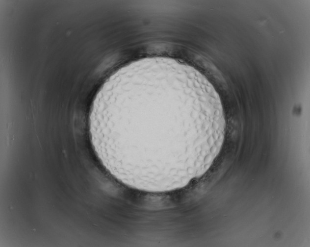 X0000101670375200808071050