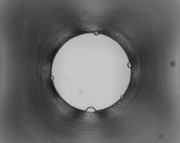 X0000101670376200808071050